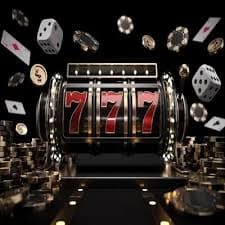 23win008